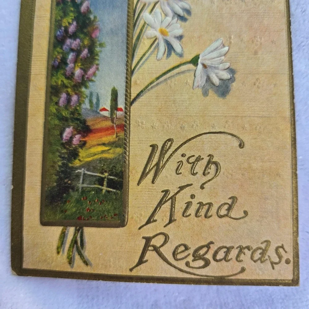 Antique Postcard With Kind Regards‎ Floral Daisies Embossed 1900s Divided Back